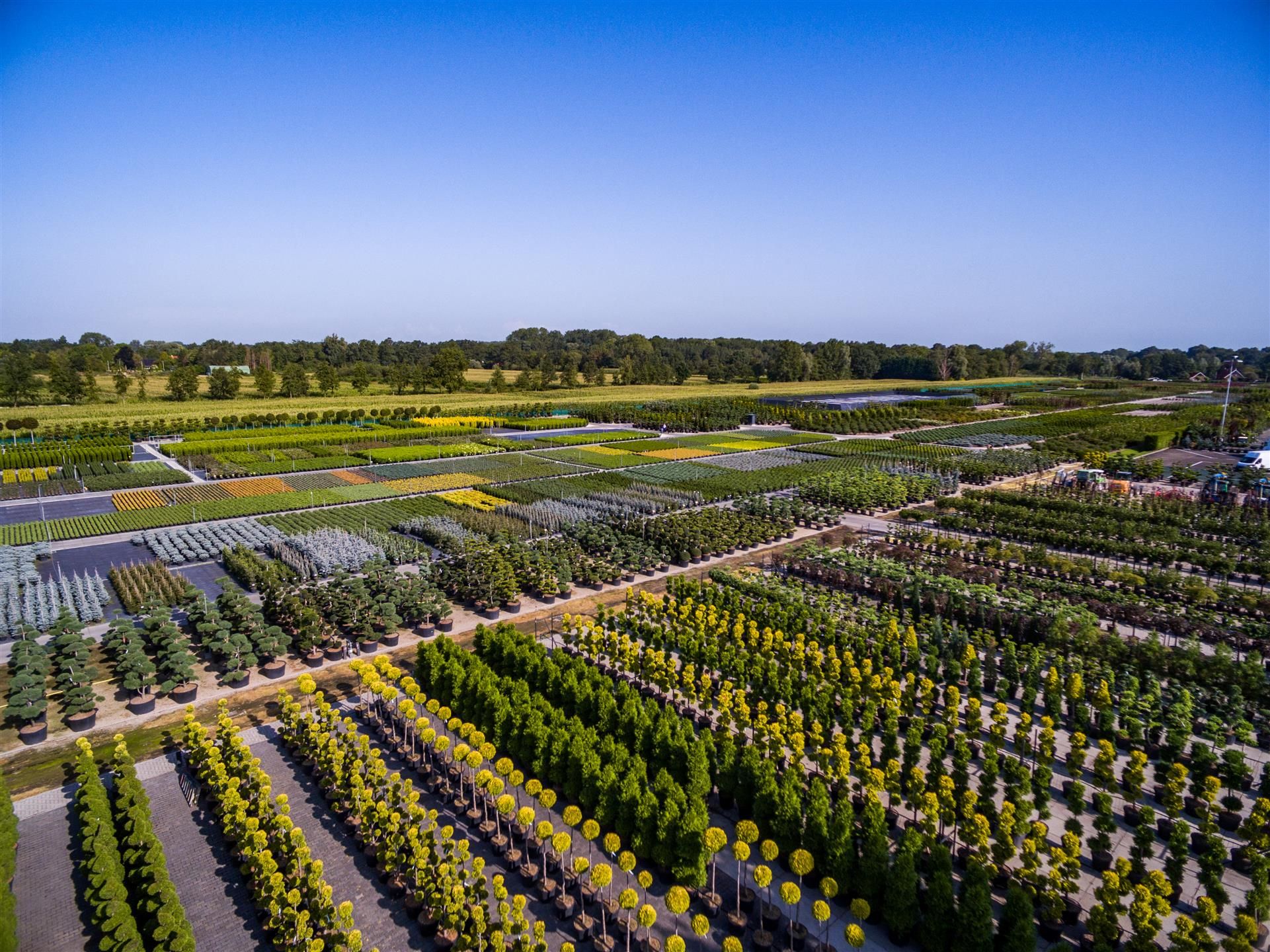 Boomkamp Boomkwekerijen - PLANTARIUM|GROEN-Direkt